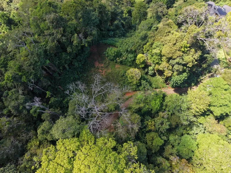 Land For Sale in Dominical, photo 12