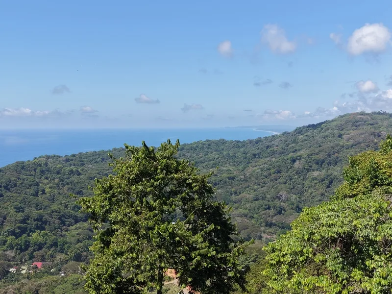 Land For Sale in Dominical, photo 13