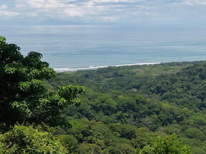 Land For Sale in Dominical, photo 3