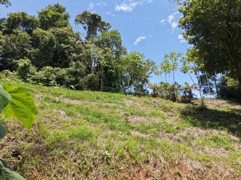 Land For Sale in Dominical, photo 4