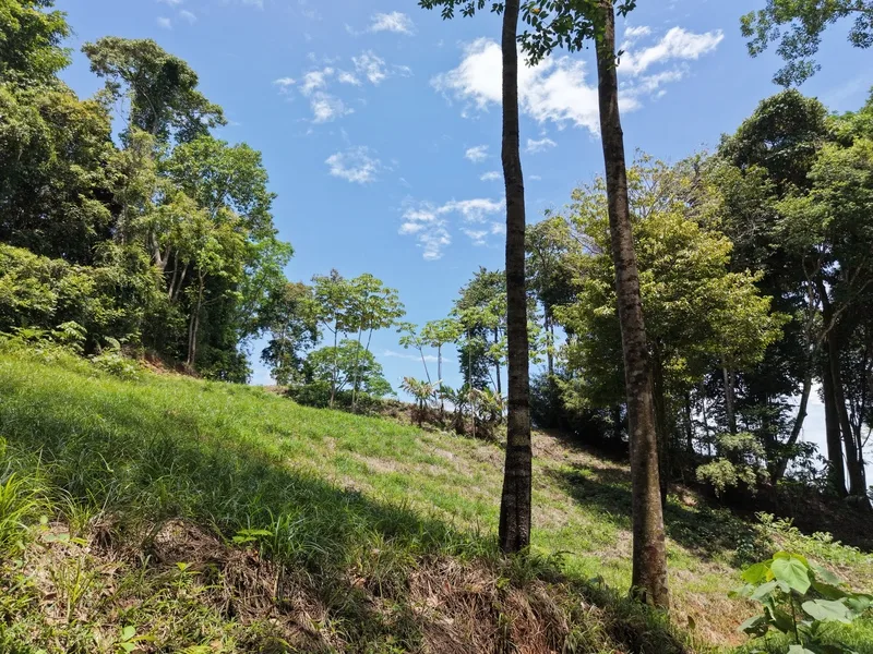 Land For Sale in Dominical, photo 5