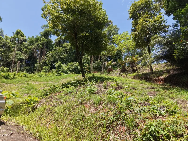 Land For Sale in Dominical, photo 6