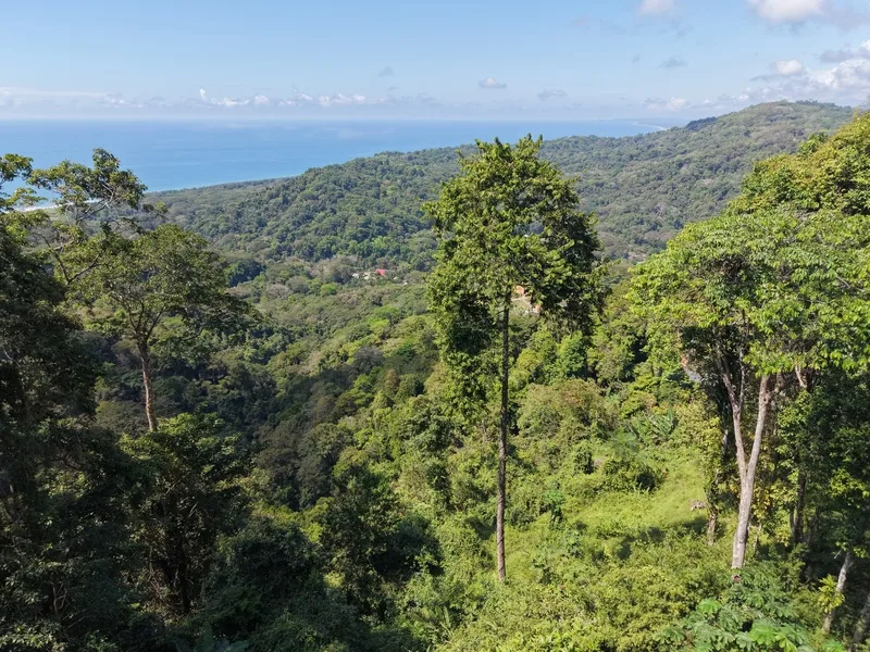 Land For Sale in Dominical, photo 7