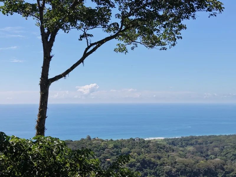 Land For Sale in Dominical, photo 8