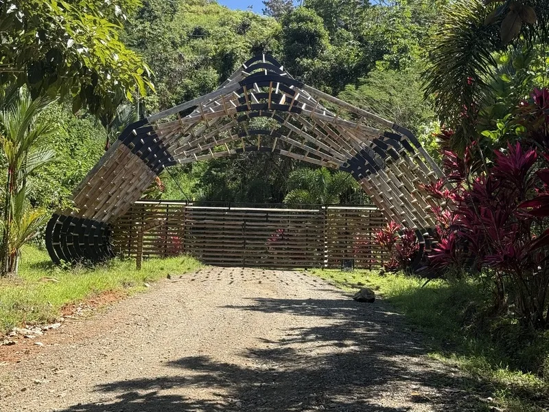 Land For Sale in Dominical, photo 9