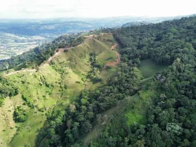 FINCA CON FUERTE POTENCIAL PARA DESARROLLO RESIDENCIAL, photo 7