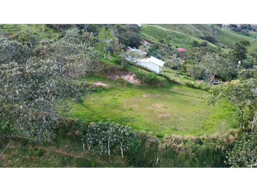 Terreno amplio de 2.500 m² en Santiago, San Ramón, Costa Rica, photo 2