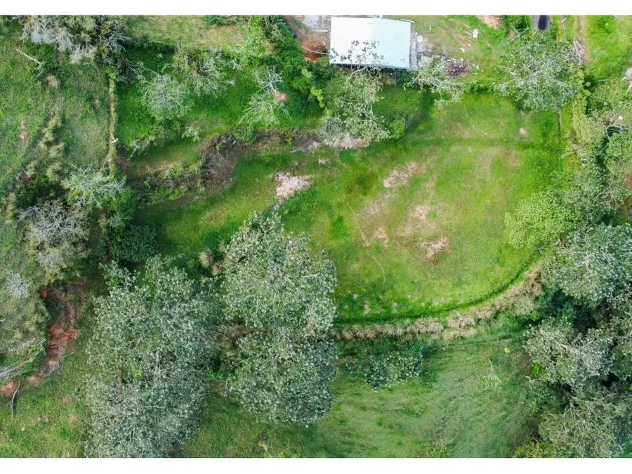 Terreno amplio de 2.500 m² en Santiago, San Ramón, Costa Rica, photo 3