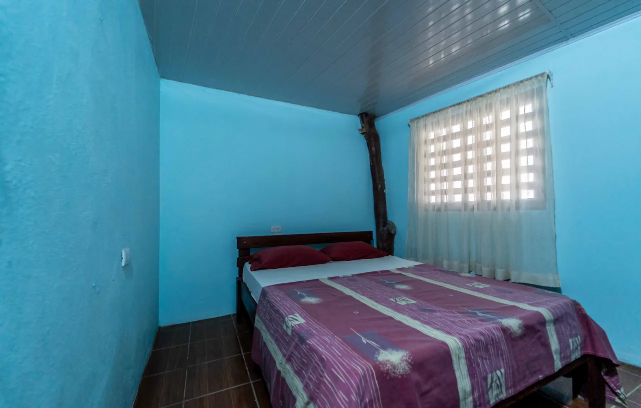 Casita San Fernando - 2BR Home plus Apartment, photo 9