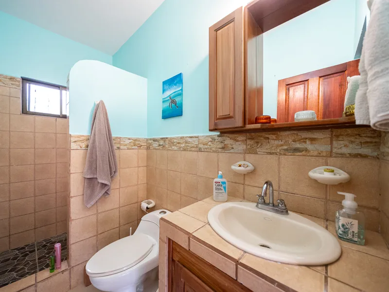 3 Bed Single Family Homes For Sale in Bejuco, photo 11