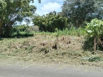 Encantador lote costarricense con potencial de desarrollo
