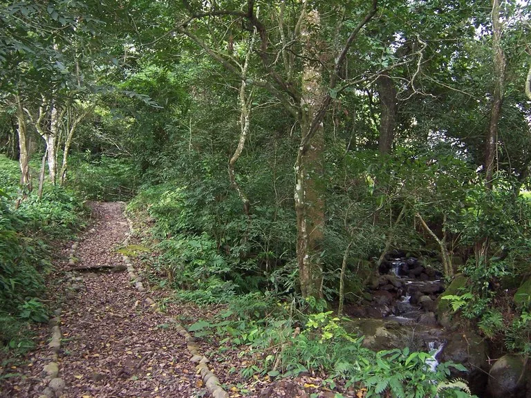 Lot for Sale in Gated Community Cerro Colon Ciudad Colon Costa Rica, photo 6