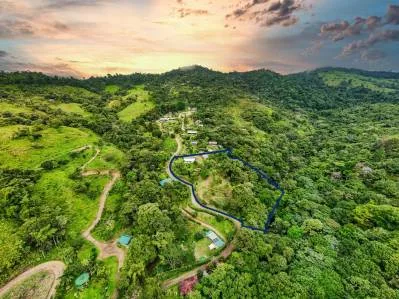 2,6 acres con acceso privado al río, agua pura de manantial y abundante bosque, photo 3