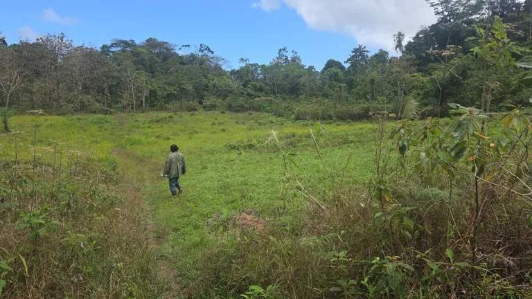 Agricultural Land in Las Brisas, photo 11