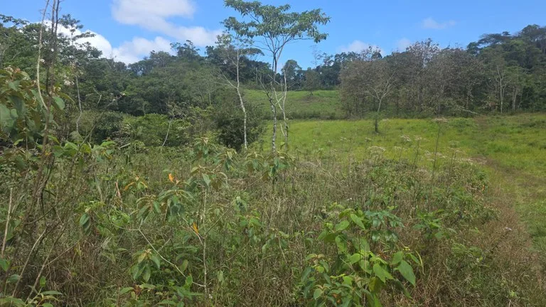 Agricultural Land in Las Brisas, photo 12