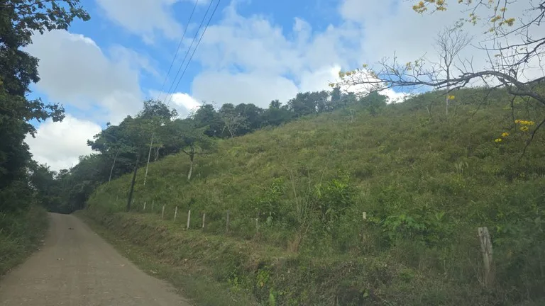 Agricultural Land in Las Brisas, photo 13