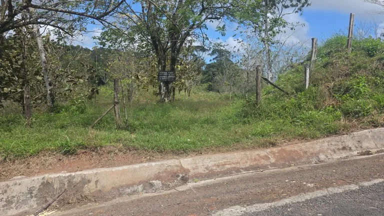 Agricultural Land in Las Brisas, photo 6