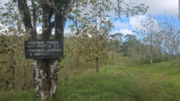 Agricultural Land in Las Brisas, photo 7