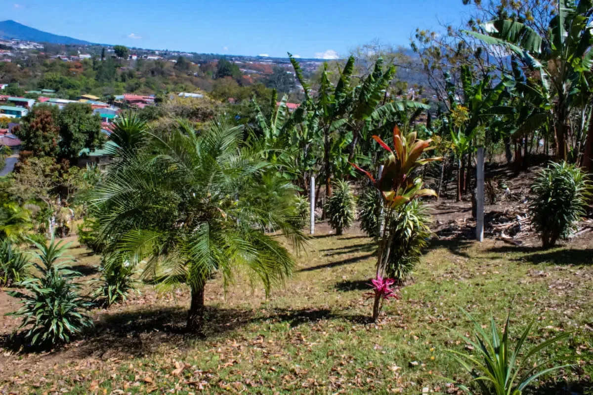 Land for sale in Curridabat, La Colina