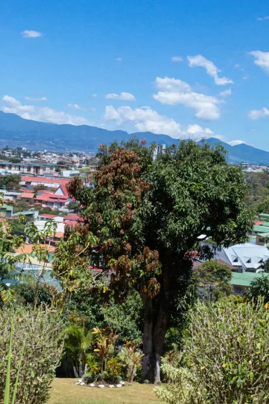 Land for sale in Curridabat, La Colina, photo 4