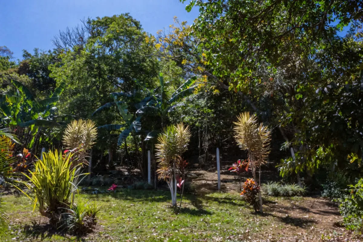 Land for sale in Curridabat, La Colina, photo 5