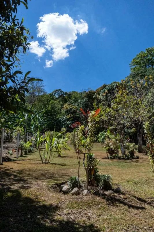 Land for sale in Curridabat, La Colina, photo 7