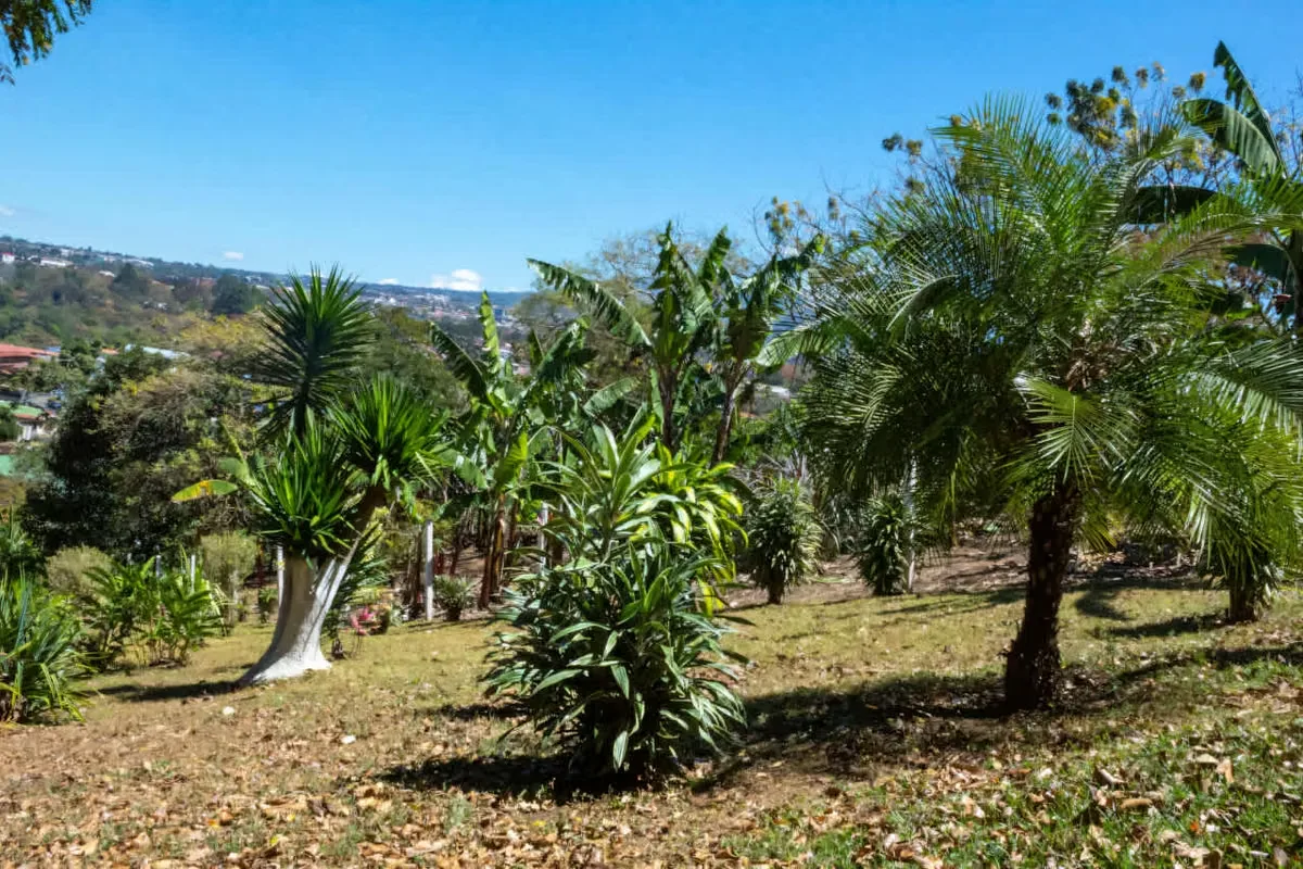 Land for sale in Curridabat, La Colina, photo 8
