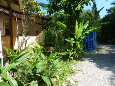 Hotel. Ubicación Perfecta en Puerto Viejo!, photo 10