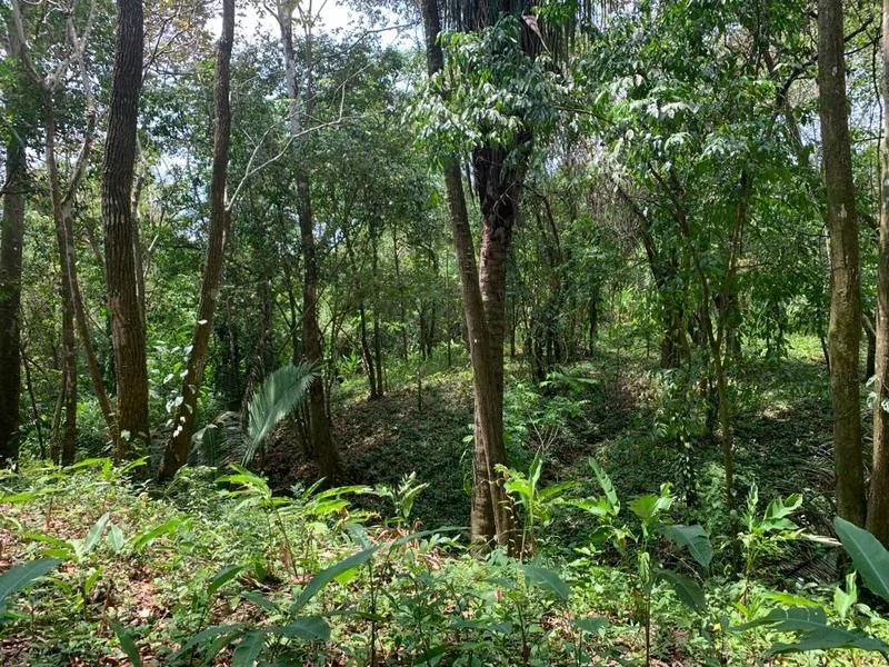 Land For Sale in Cobano, photo 4