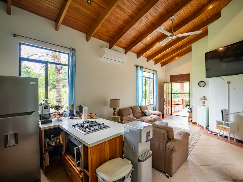 3 Bed Single Family Homes For Sale in Samara, photo 6