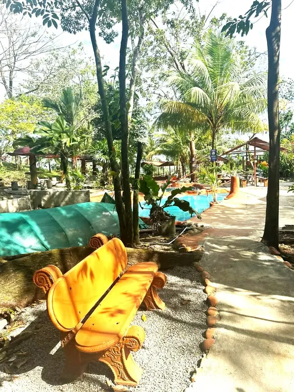 Se vende complejo turístico con aguas termales, con linda propiedad de 20.000 mt2. Queda mucho espacio para construir mas cabinas, esta en zona verde, con vista a la ..., photo 2