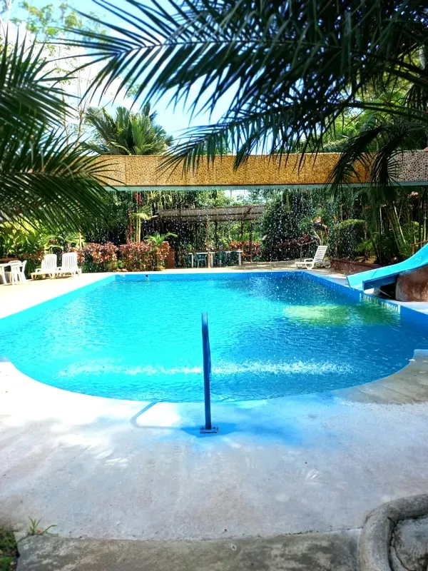 Se vende complejo turístico con aguas termales, con linda propiedad de 20.000 mt2. Queda mucho espacio para construir mas cabinas, esta en zona verde, con vista a la ..., photo 3