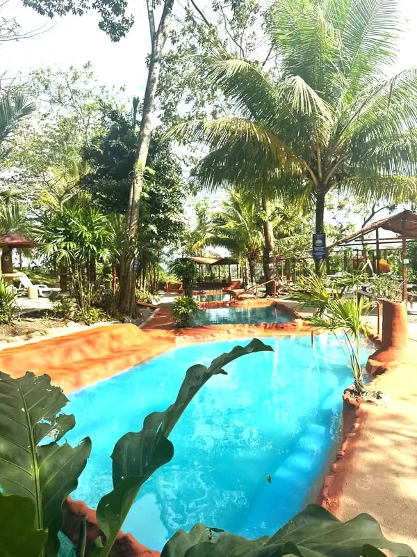 Se vende complejo turístico con aguas termales, con linda propiedad de 20.000 mt2. Queda mucho espacio para construir mas cabinas, esta en zona verde, con vista a la ..., photo 4
