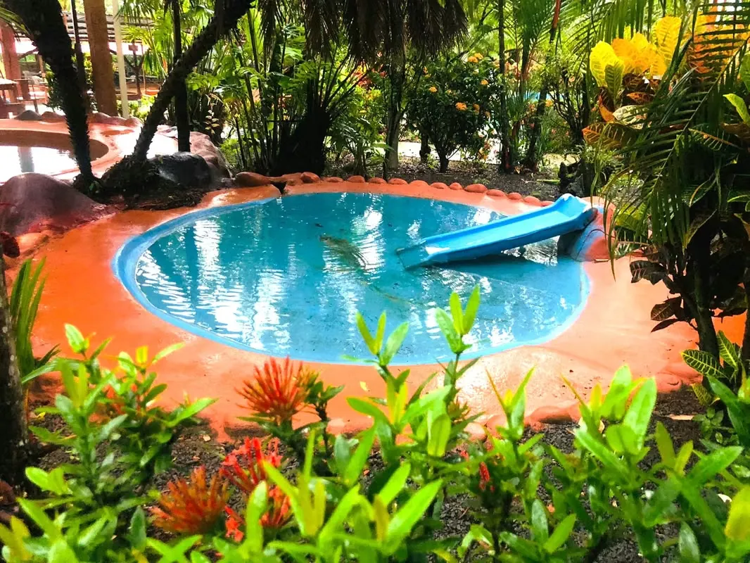 Se vende complejo turístico con aguas termales, con linda propiedad de 20.000 mt2. Queda mucho espacio para construir mas cabinas, esta en zona verde, con vista a la ..., photo 6