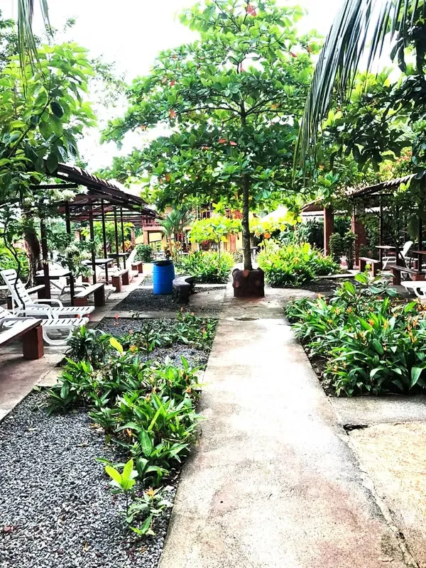 Se vende complejo turístico con aguas termales, con linda propiedad de 20.000 mt2. Queda mucho espacio para construir mas cabinas, esta en zona verde, con vista a la ..., photo 8