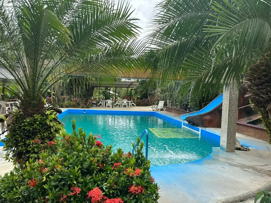 Se vende complejo turístico con aguas termales, con linda propiedad de 20.000 mt2. Queda mucho espacio para construir mas cabinas, esta en zona verde, con vista a la ..., photo 10