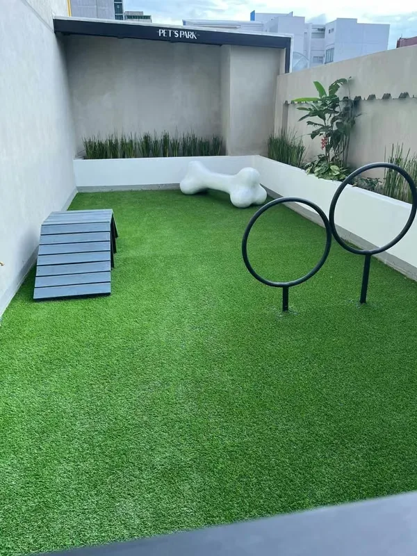 Apartment for Rent in Nunciatura, San José, photo 10