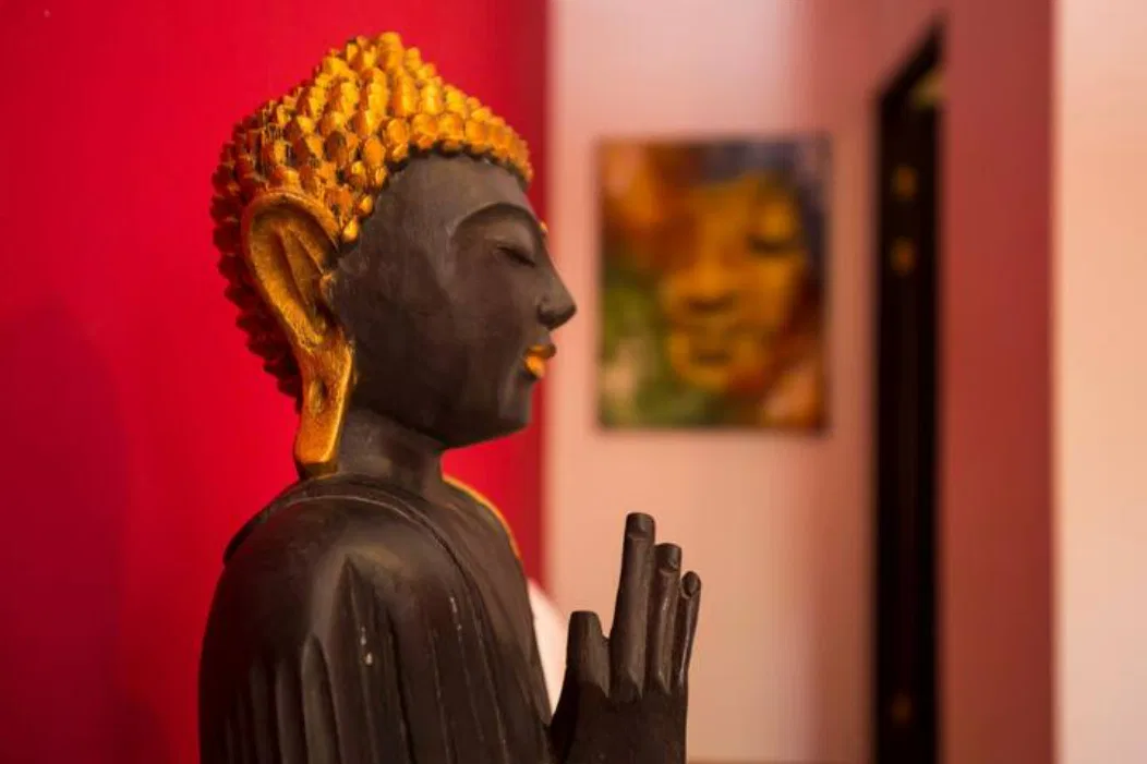 Buddha House, Jaco, Jacó, Garabito, Puntarenas, Costa Rica