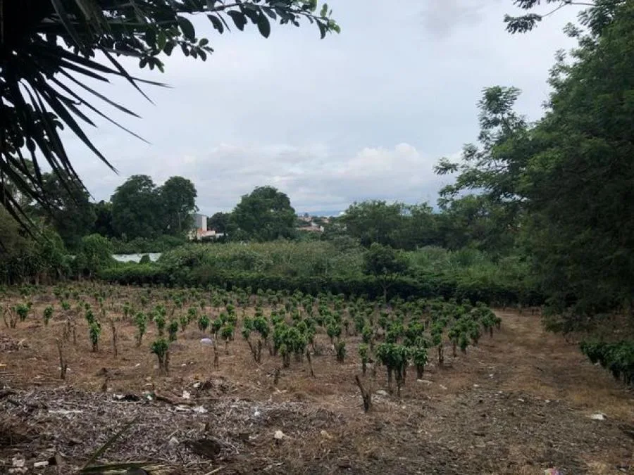 Terreno en Venta en San Vicente de Moravia RAH #23639 - Venta en San Vicente, photo 9