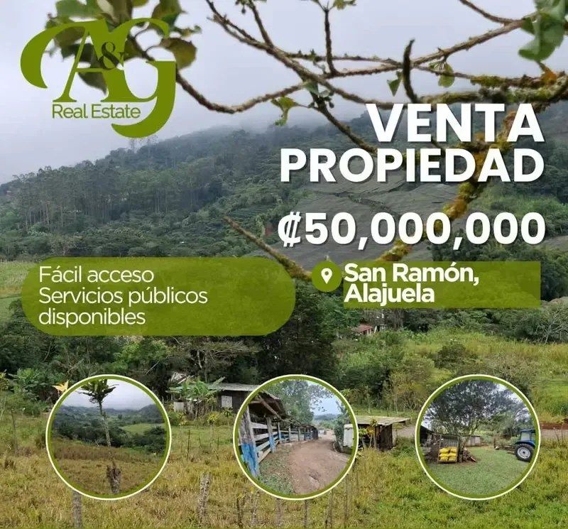 Propiedad en Venta con Alto Potencial Turístico o Familiar – San Ramón, Alajuela