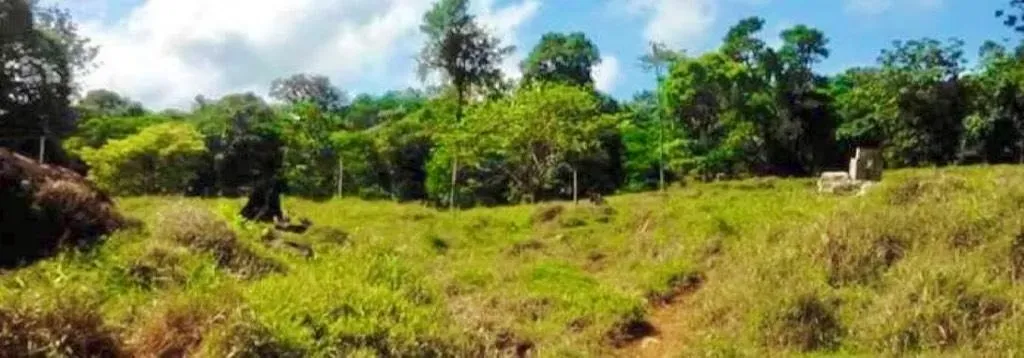 148-Hectare Farm for Sale – Sarapiquí, Heredia – Borders Braulio Carrillo – $1,480,000