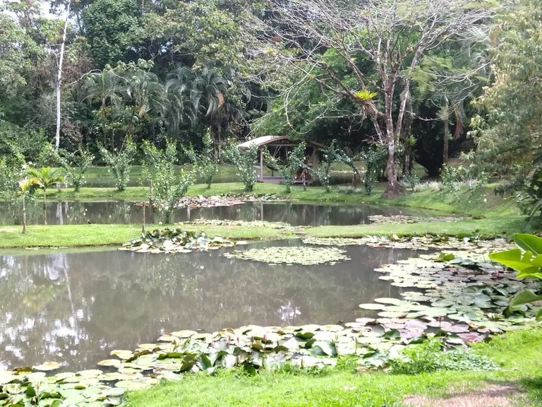 Other in Bijagua