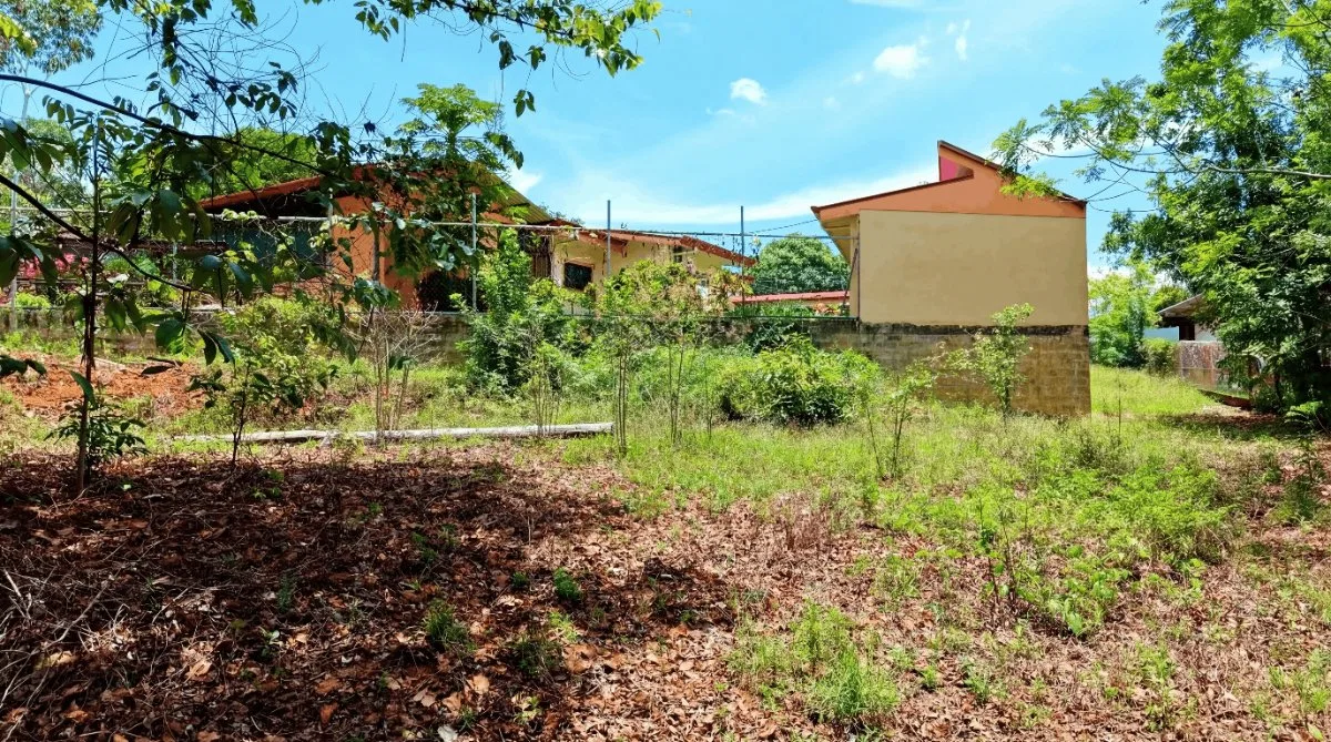 LOTE DE 2.580 M2 EN VENTA EN PEDREGOSO, CALLE CALALLO, PEREZ ZELEDON - Venta en Pérez Zeledón, photo 8