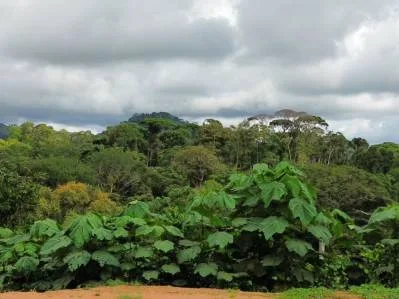 Lote con vista a la montaña: le espera un paraíso privado, photo 2