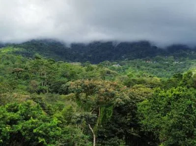 Lote con vista a la montaña: le espera un paraíso privado, photo 4