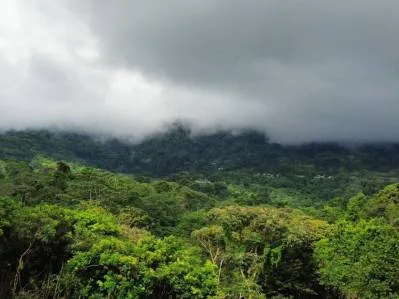 Lote con vista a la montaña: le espera un paraíso privado, photo 10