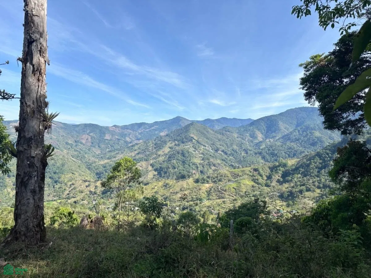 Escondido Lloroso , Rivas, Perez Zeledon, San Jose