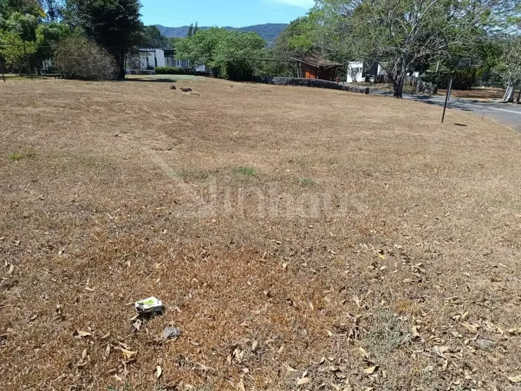 Lote residencial en venta en Hacienda Los Reyes. Condominio exclusivo., photo 3