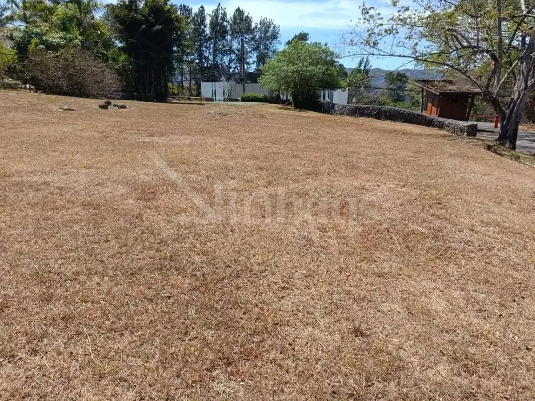 Lote residencial en venta en Hacienda Los Reyes. Condominio exclusivo., photo 4