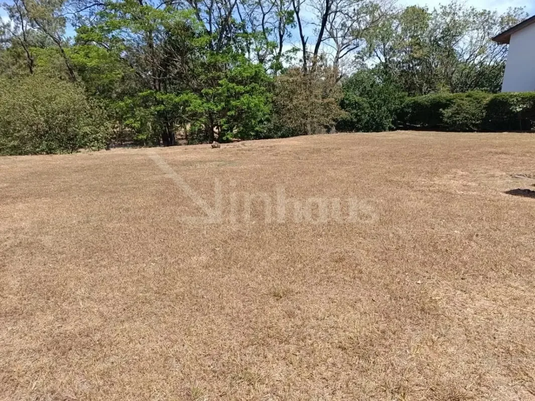 Lote residencial en venta en Hacienda Los Reyes. Condominio exclusivo., photo 6